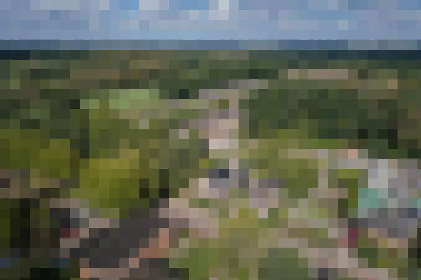H.W. Iordensweg 33 Twello thumbnail 61