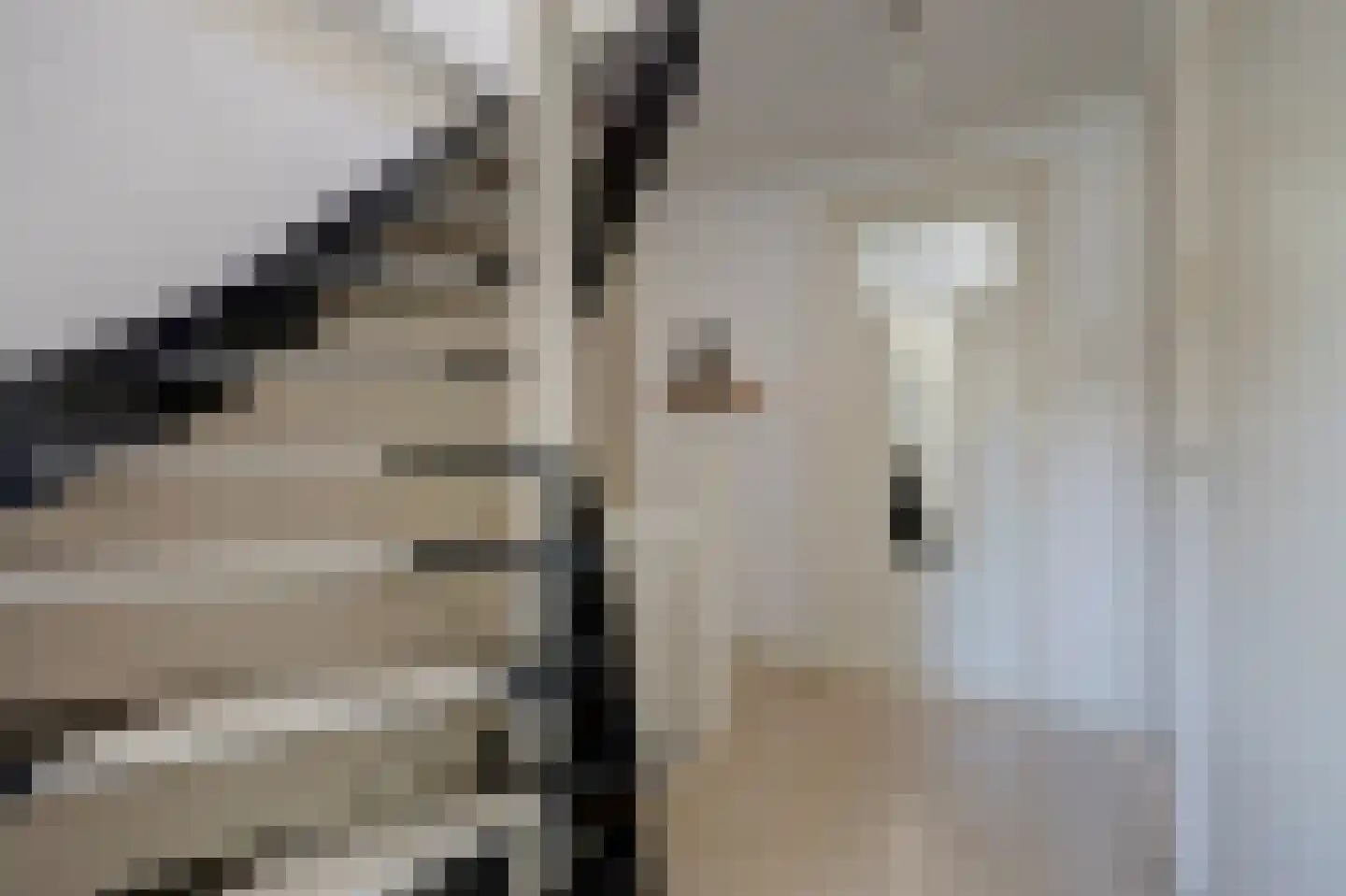 H.W. Iordensweg 43 Twello thumbnail 22