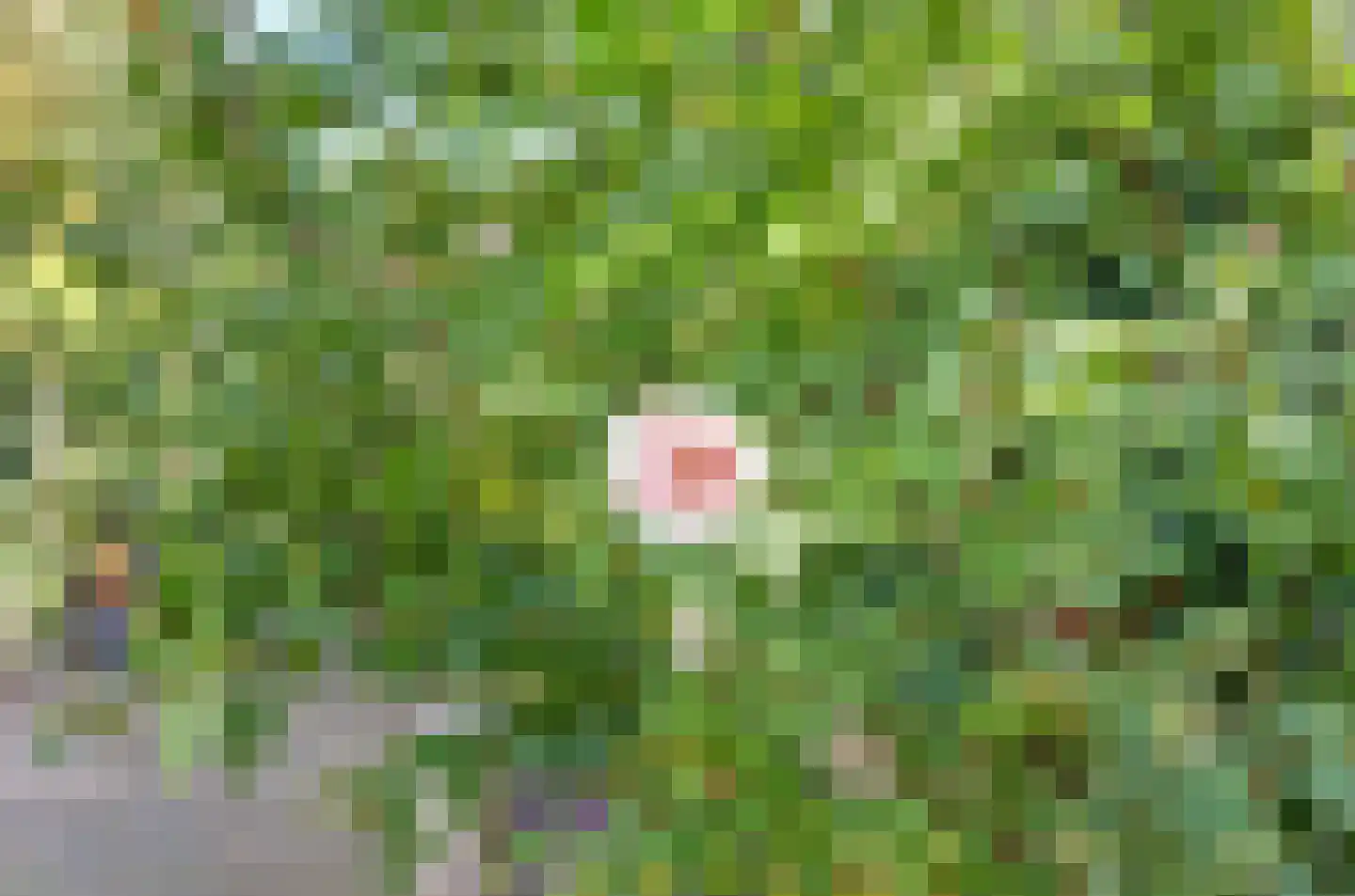 H.W. Iordensweg 43 Twello thumbnail 41