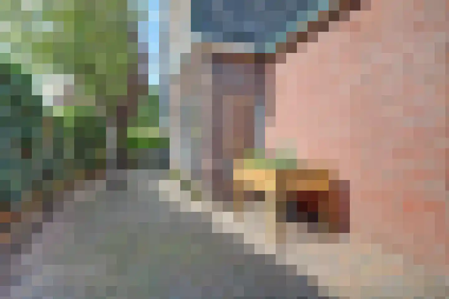 H.W. Iordensweg 43 Twello thumbnail 42