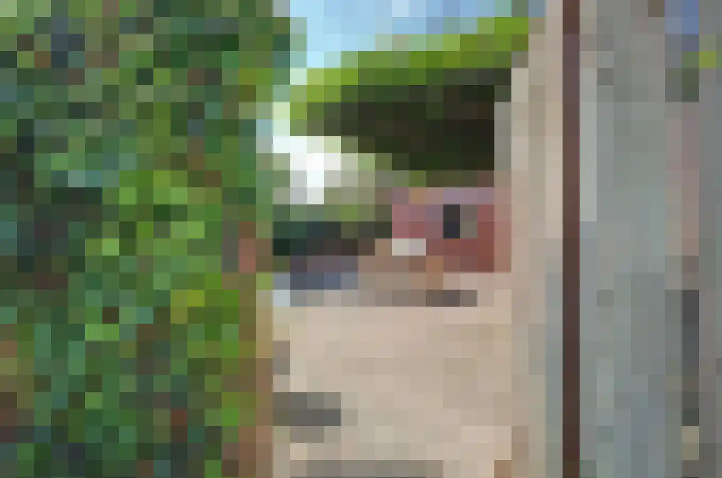H.W. Iordensweg 43 Twello thumbnail 44
