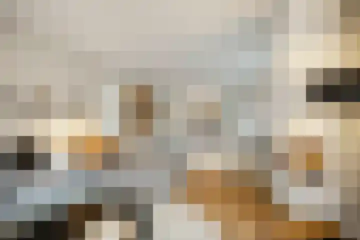 H.W. Iordensweg 50 Twello thumbnail 10