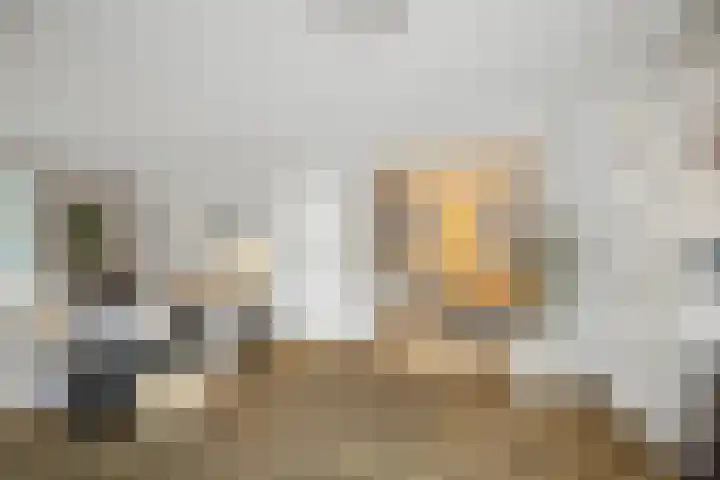 H.W. Iordensweg 50 Twello thumbnail 12