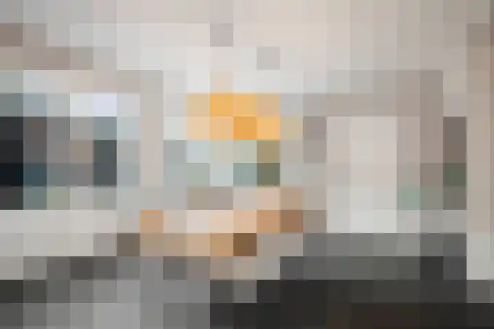 H.W. Iordensweg 50 Twello thumbnail 16