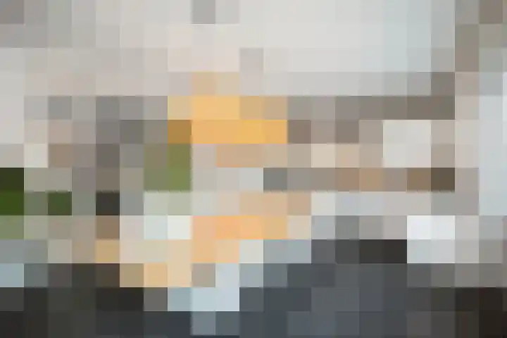 H.W. Iordensweg 50 Twello thumbnail 17