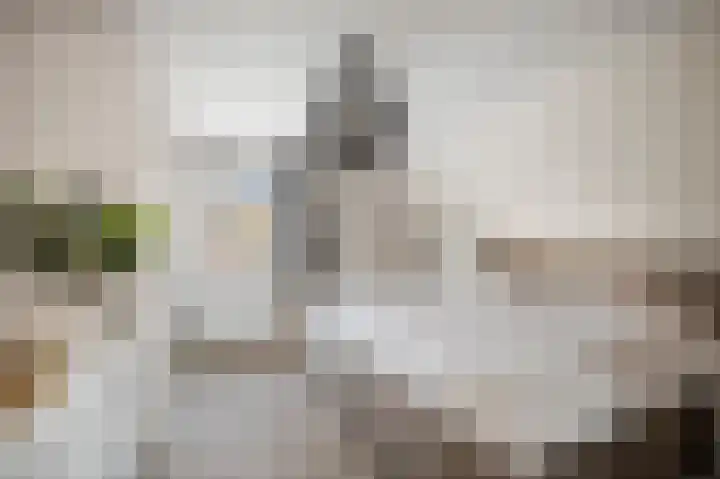 H.W. Iordensweg 50 Twello thumbnail 19