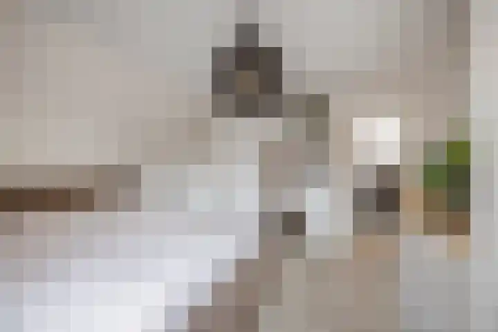 H.W. Iordensweg 50 Twello thumbnail 20