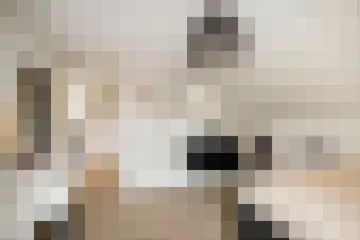 H.W. Iordensweg 50 Twello thumbnail 22
