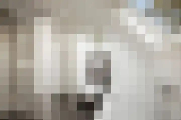 H.W. Iordensweg 50 Twello thumbnail 24