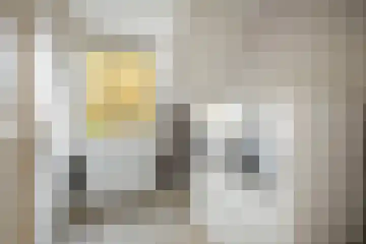 H.W. Iordensweg 50 Twello thumbnail 26