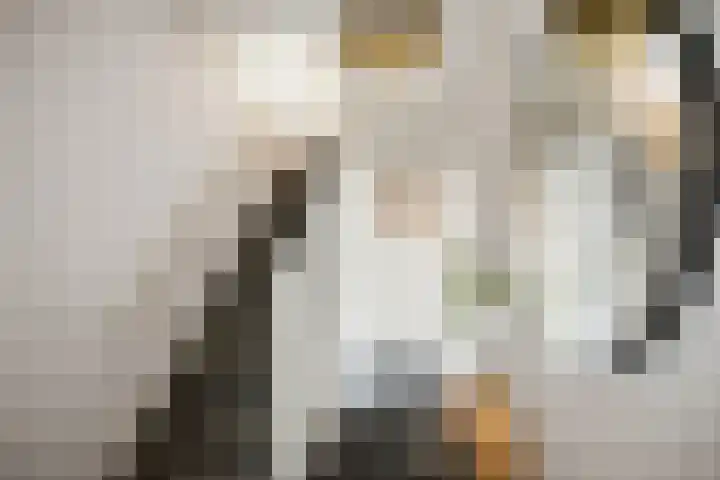 H.W. Iordensweg 50 Twello thumbnail 4