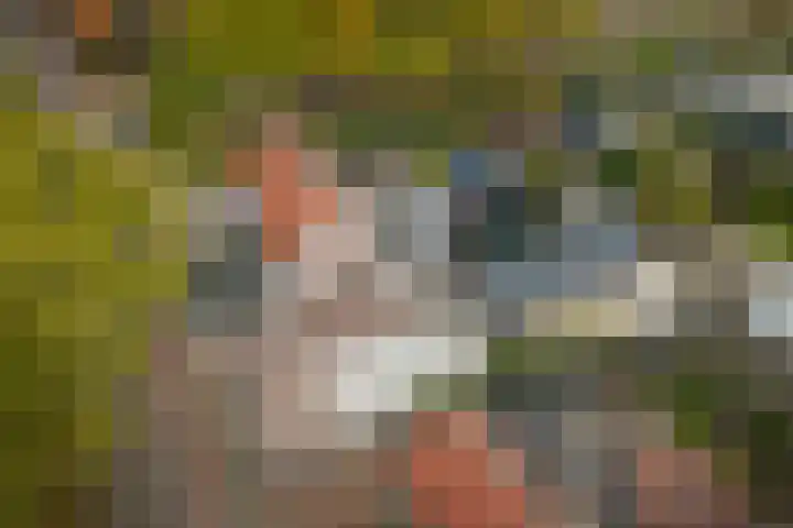 H.W. Iordensweg 50 Twello thumbnail 43