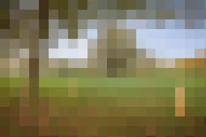 H.W. Iordensweg 50 Twello thumbnail 48