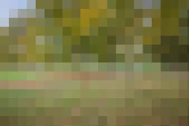 H.W. Iordensweg 50 Twello thumbnail 49