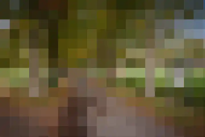 H.W. Iordensweg 50 Twello thumbnail 50