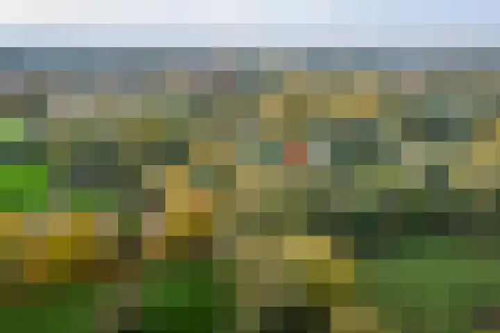 H.W. Iordensweg 50 Twello thumbnail 51