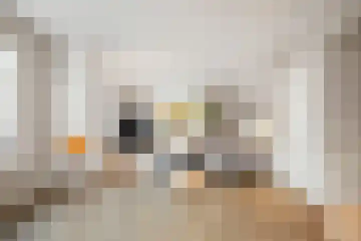 H.W. Iordensweg 50 Twello thumbnail 6