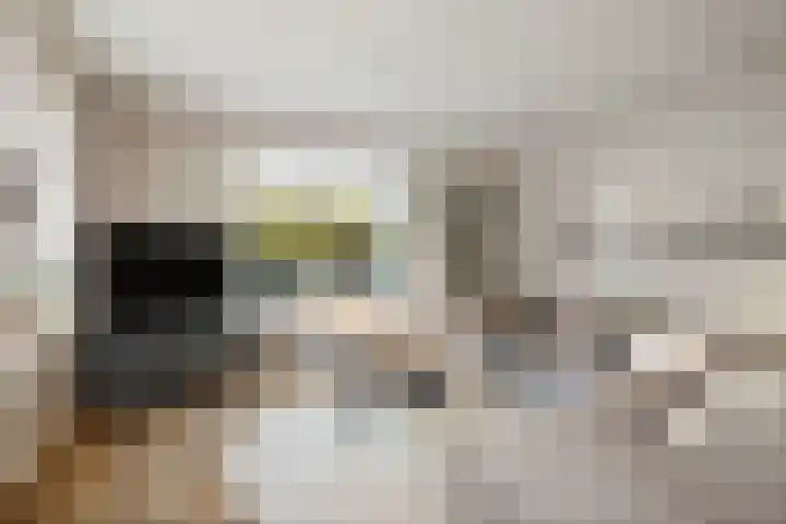 H.W. Iordensweg 50 Twello thumbnail 7
