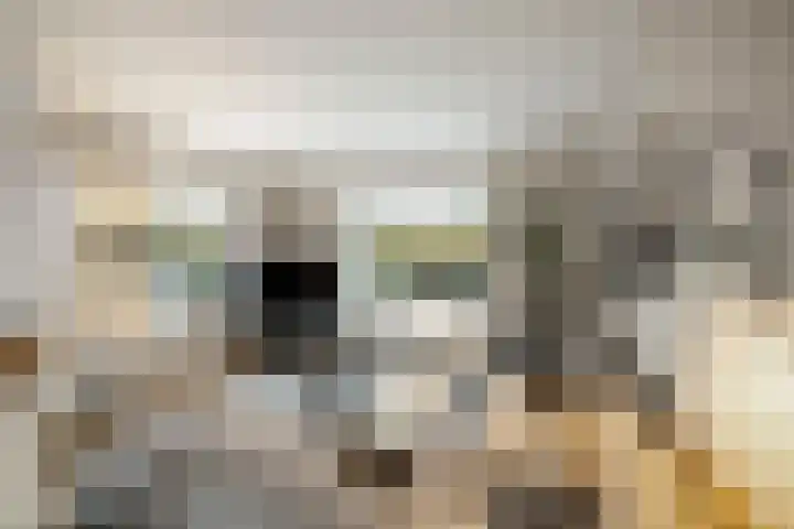 H.W. Iordensweg 50 Twello thumbnail 8