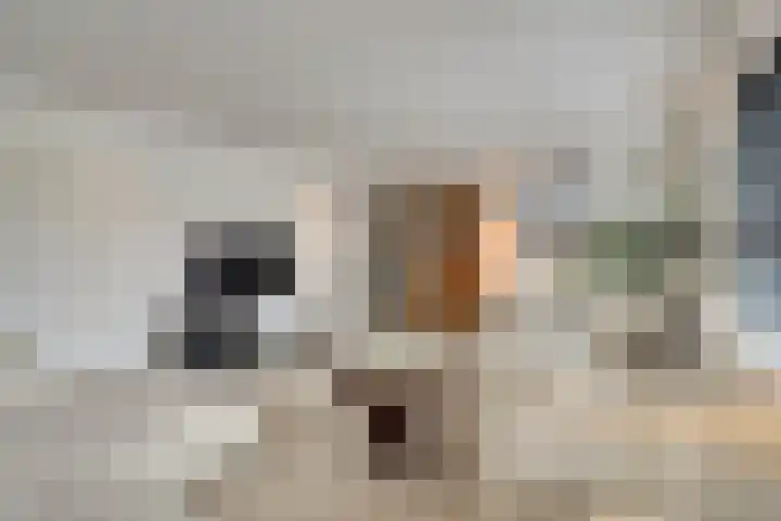 H.W. Iordensweg 63 A Twello thumbnail 10