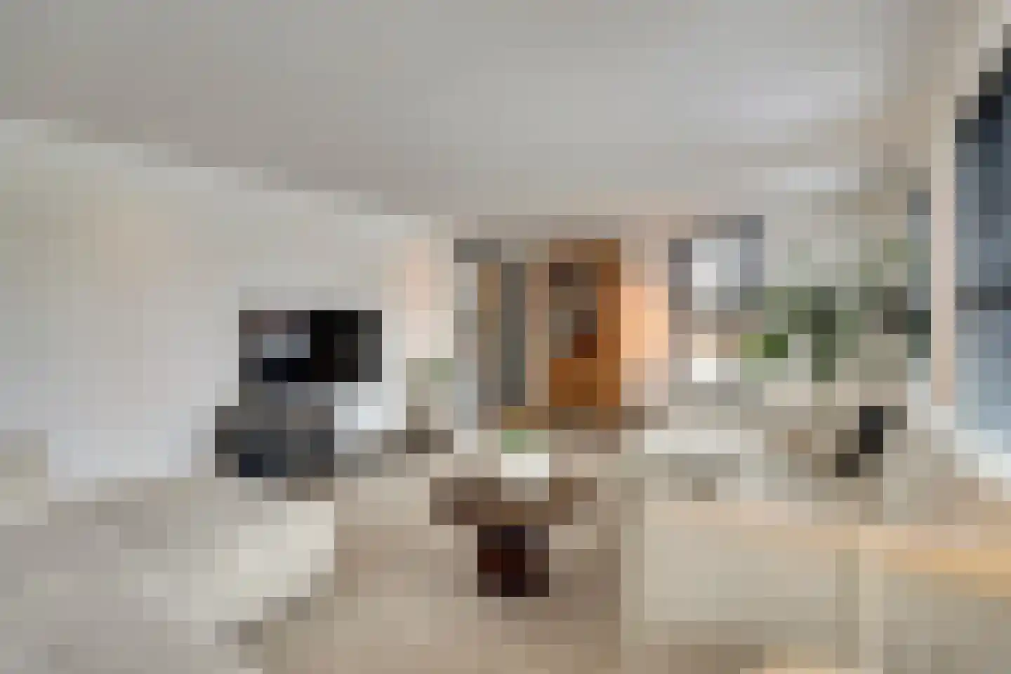 H.W. Iordensweg 63 A Twello thumbnail 10