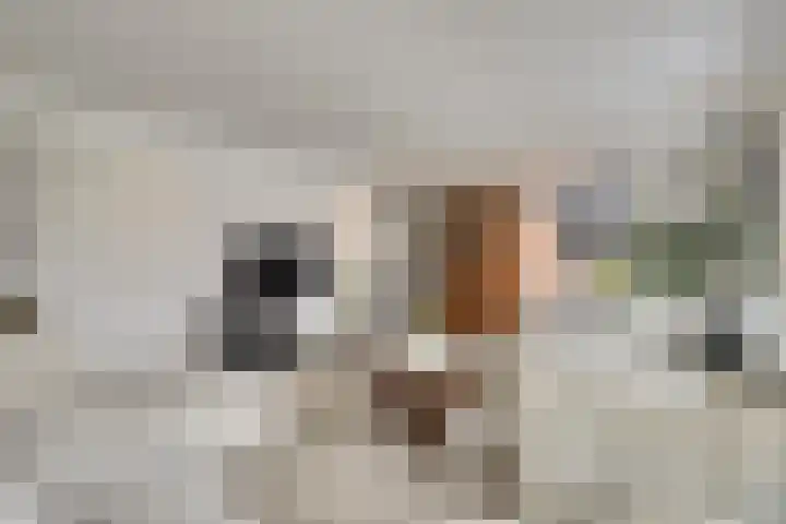 H.W. Iordensweg 63 A Twello thumbnail 17