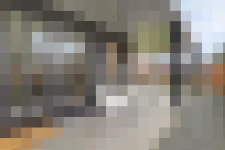 H.W. Iordensweg 63 A Twello thumbnail 26
