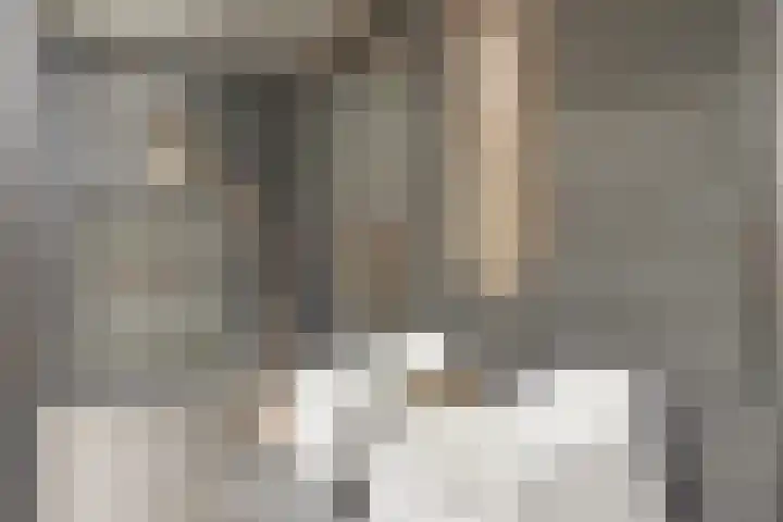 H.W. Iordensweg 63 A Twello thumbnail 31