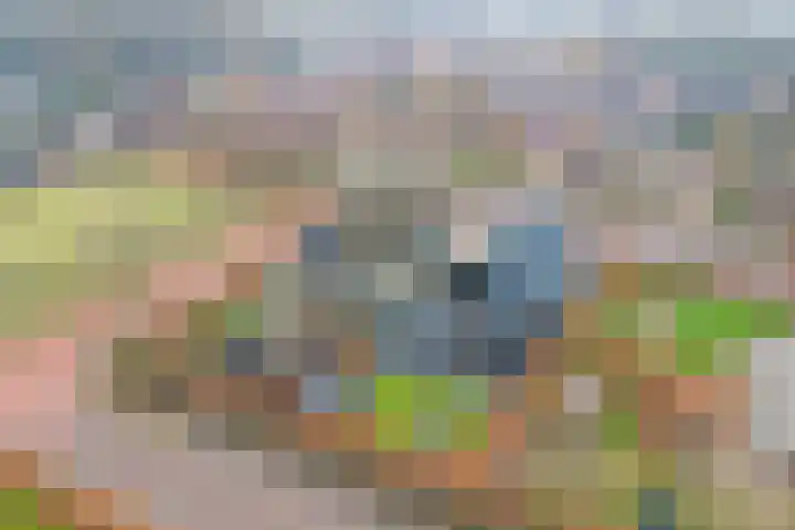 H.W. Iordensweg 63 A Twello thumbnail 4