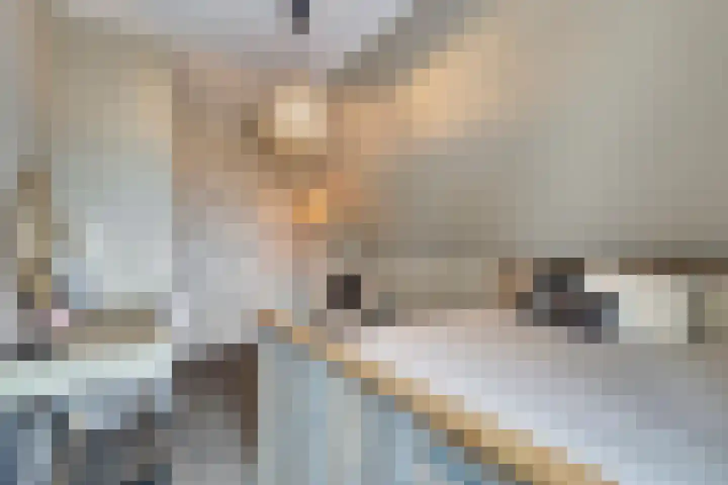 H.W. Iordensweg 63 A Twello thumbnail 43