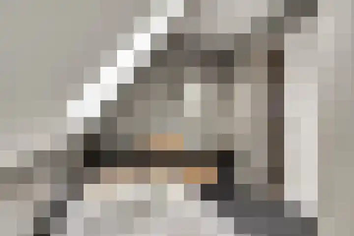 H.W. Iordensweg 63 A Twello thumbnail 46