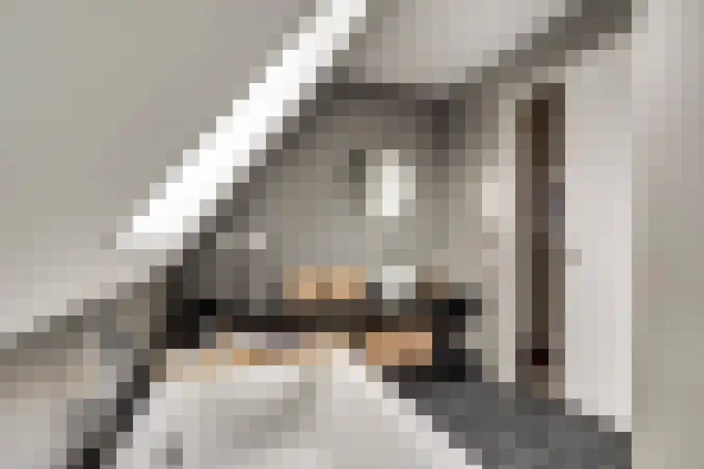 H.W. Iordensweg 63 A Twello thumbnail 53