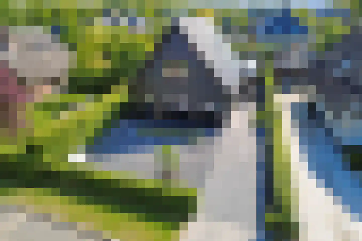 H.W. Iordensweg 63 A Twello thumbnail 59