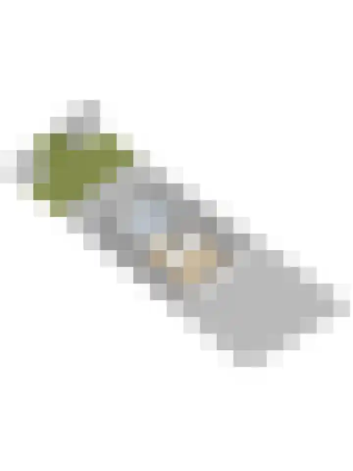 H.W. Iordensweg 63 A Twello thumbnail 65