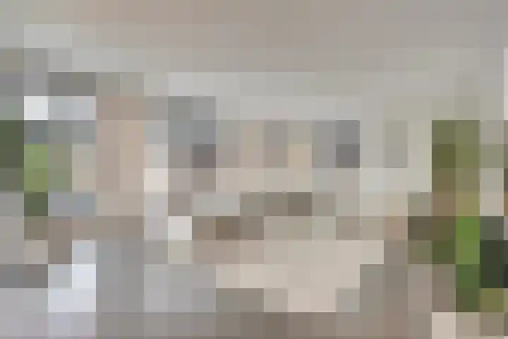 H.W. Iordensweg 63 A Twello thumbnail 8