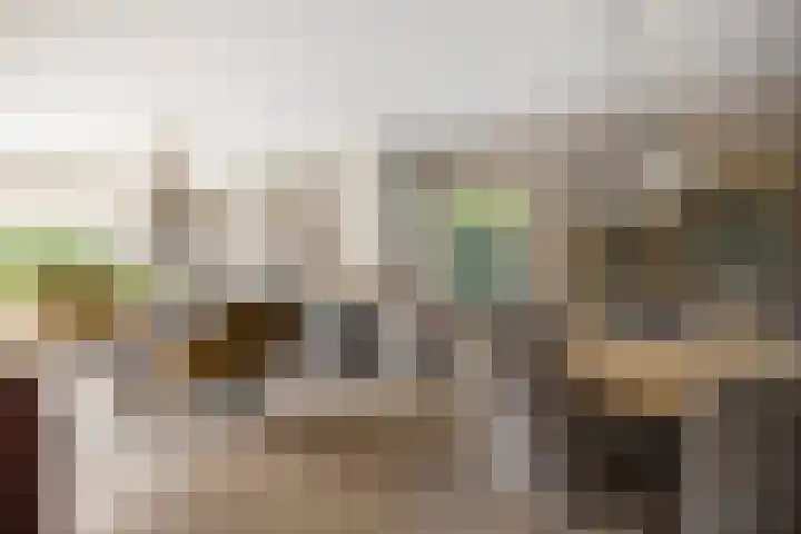 H.W. Iordensweg 78 A Twello thumbnail 10