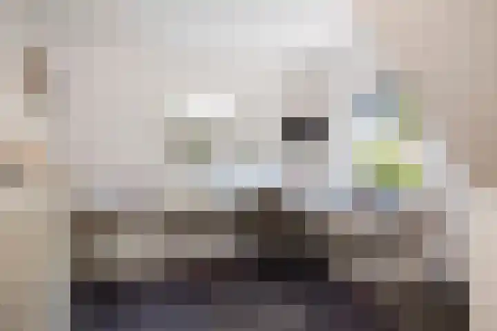 H.W. Iordensweg 78 A Twello thumbnail 25