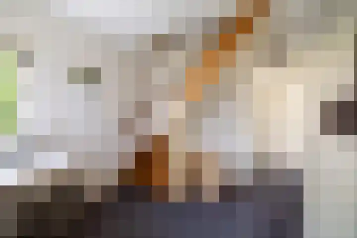 H.W. Iordensweg 78 A Twello thumbnail 26