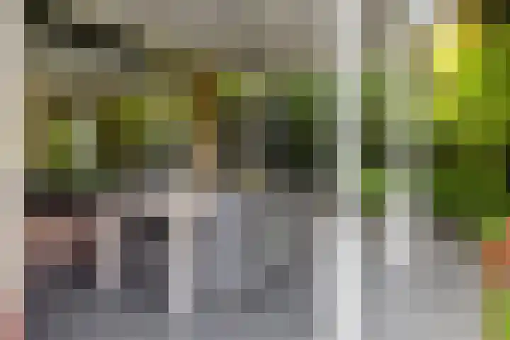 H.W. Iordensweg 78 A Twello thumbnail 35