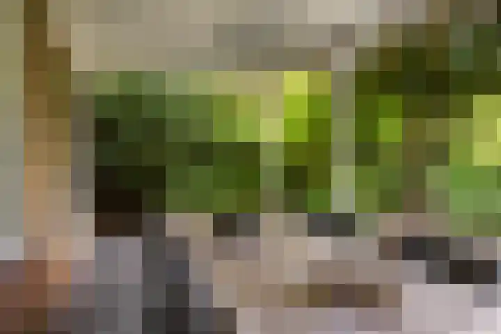 H.W. Iordensweg 78 A Twello thumbnail 36