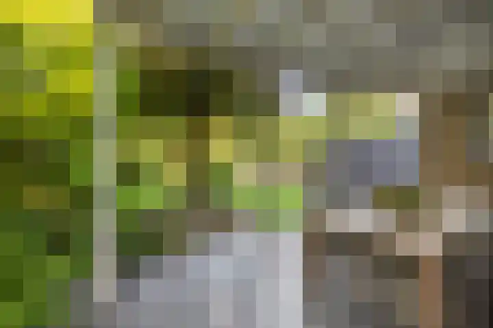 H.W. Iordensweg 78 A Twello thumbnail 37