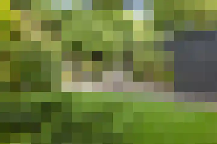 H.W. Iordensweg 78 A Twello thumbnail 39