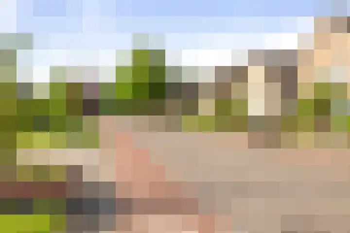 H.W. Iordensweg 78 A Twello thumbnail 44