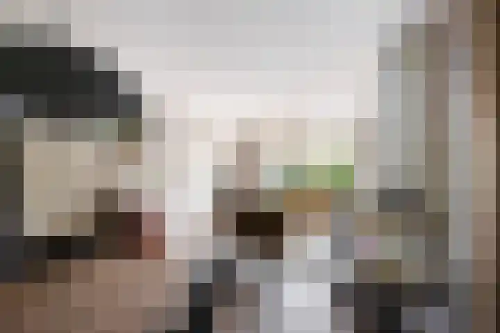 H.W. Iordensweg 78 A Twello thumbnail 8