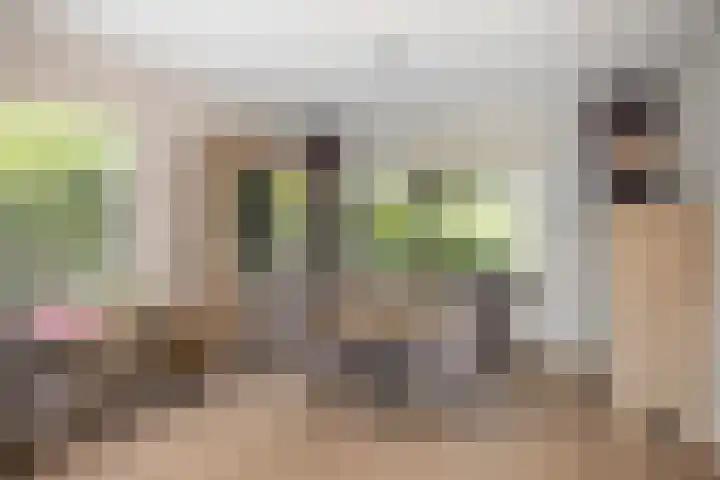 H.W. Iordensweg 78 A Twello thumbnail 9