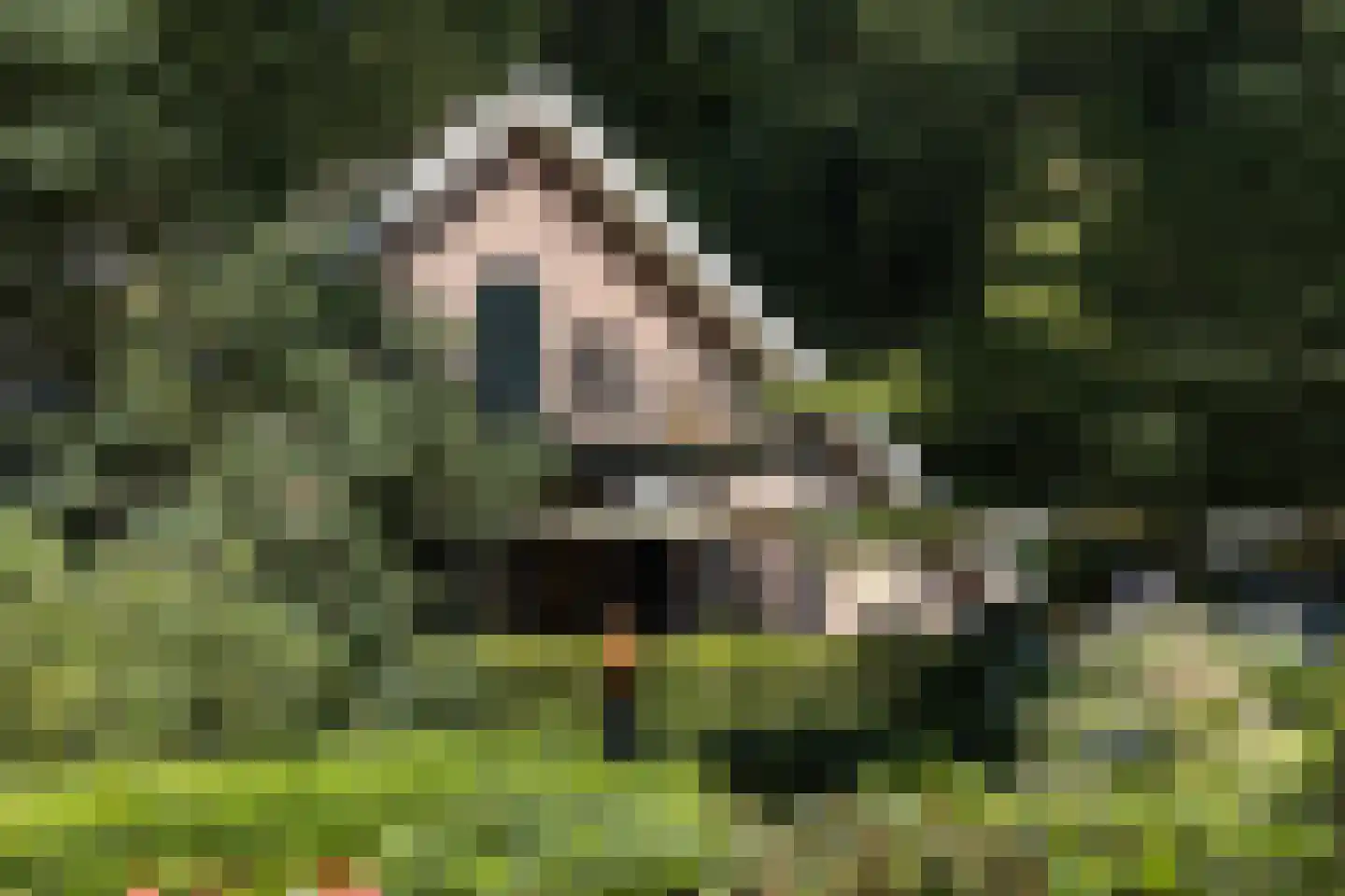 H.W. Iordensweg 91 Wilp thumbnail 43
