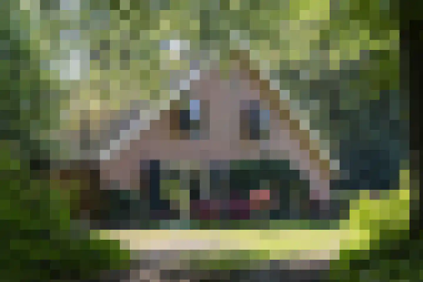 H.W. Iordensweg 91 Wilp thumbnail 59