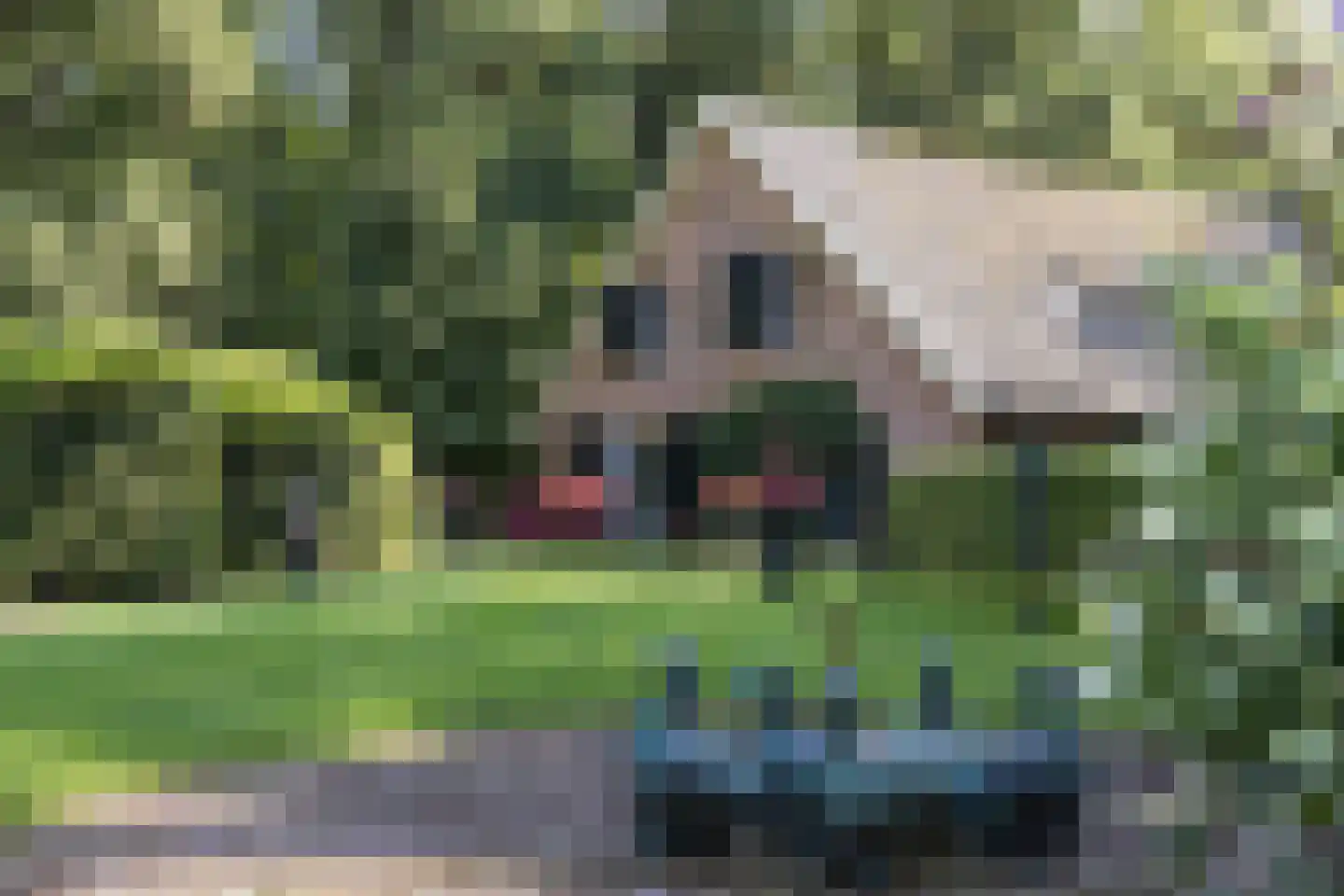 H.W. Iordensweg 91 Wilp thumbnail 60