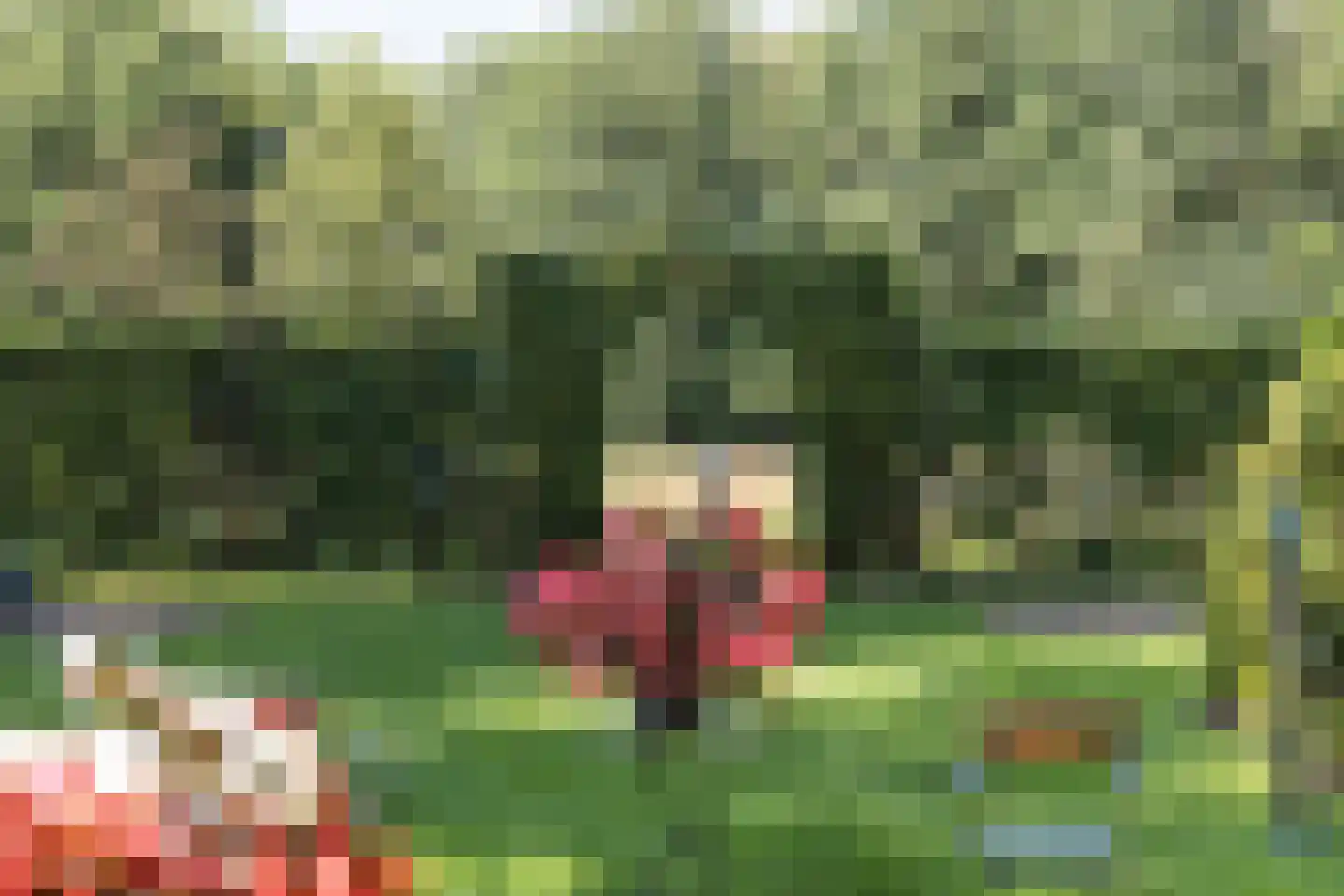 H.W. Iordensweg 91 Wilp thumbnail 61