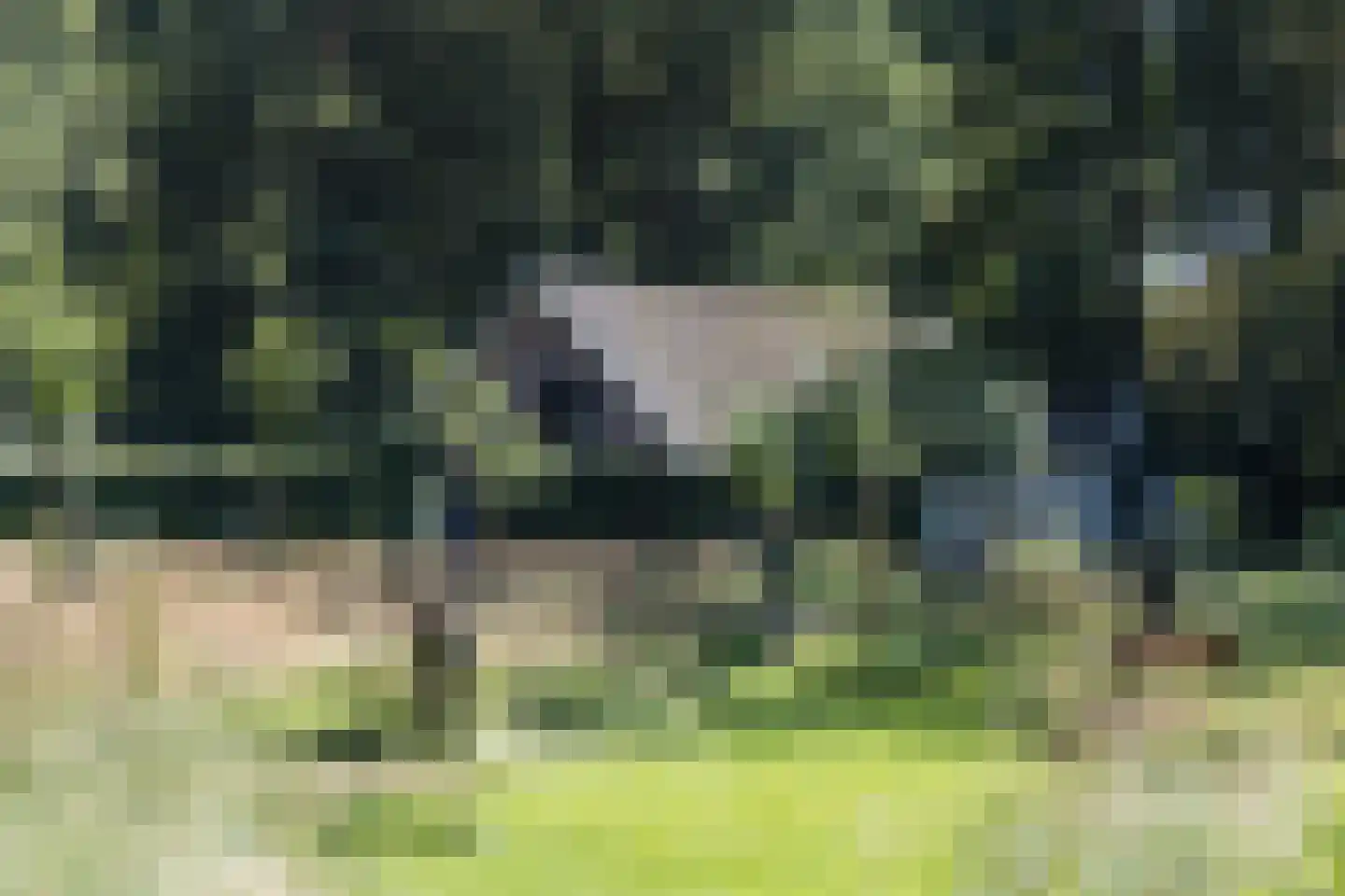 H.W. Iordensweg 91 Wilp thumbnail 64